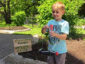 Gardening skills are an important message of Growing Chefs! lessons.
